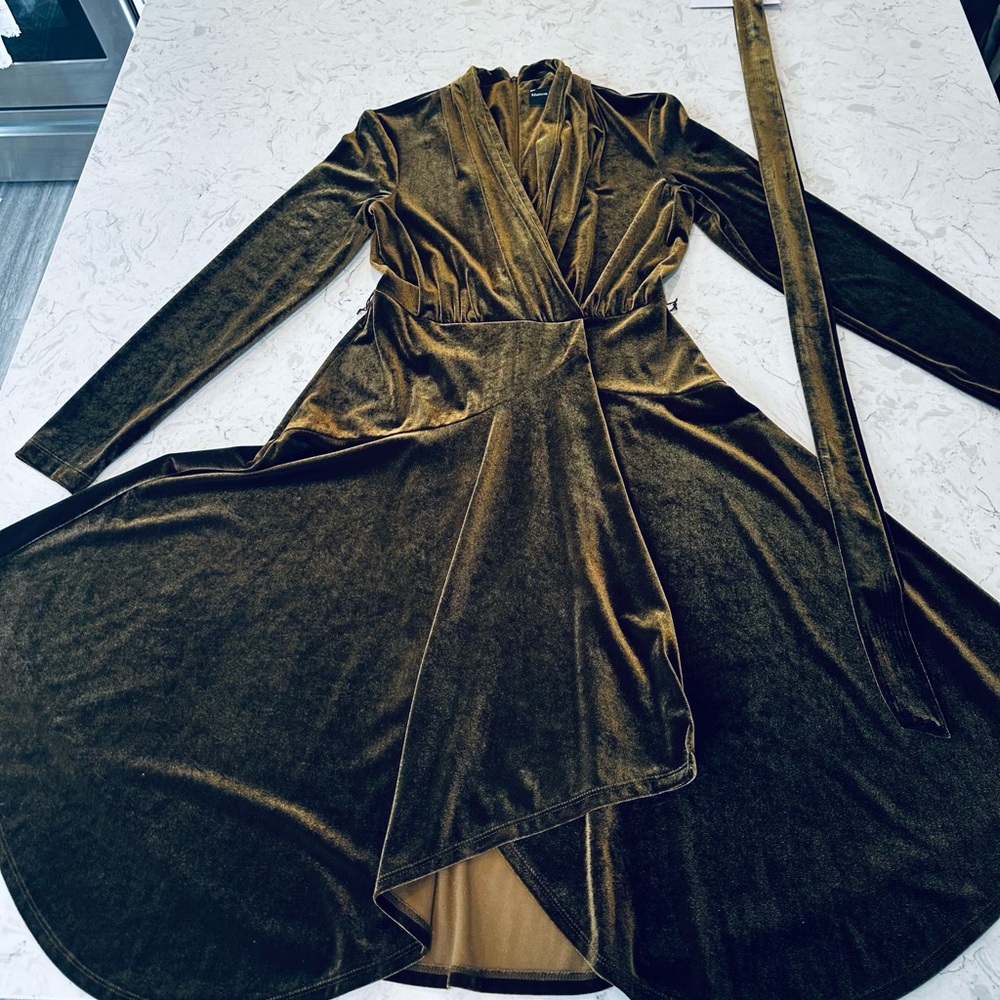 Maison Tara Luxe Velvet Long Sleeve Dress in Green